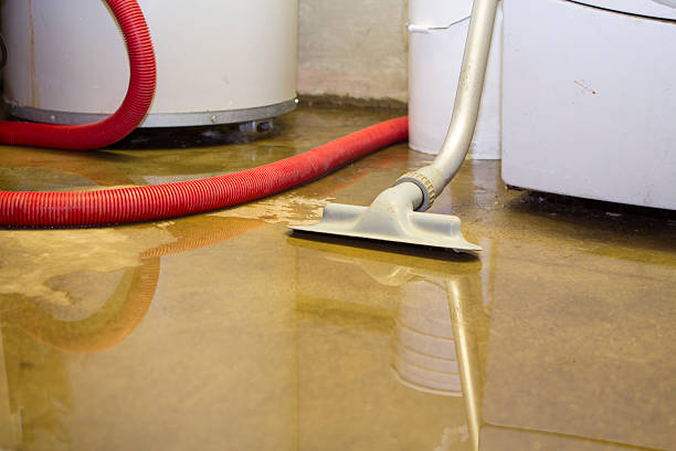 Best Water damage restoration experts  in Burlington, KS