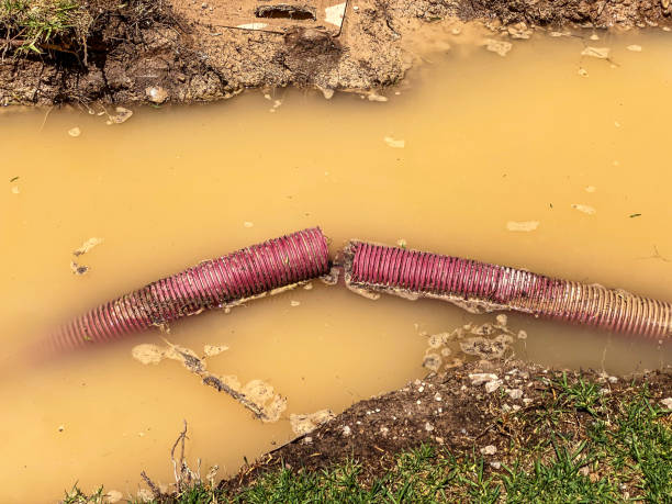 Best Carpet water damage restoration  in Burlington, KS